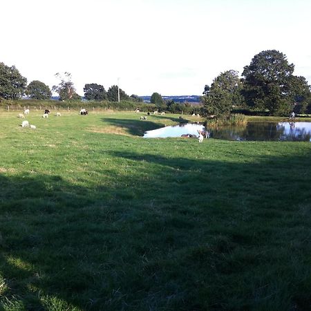 Crich Lane Farm Bed and Breakfast Alfreton Eksteriør billede